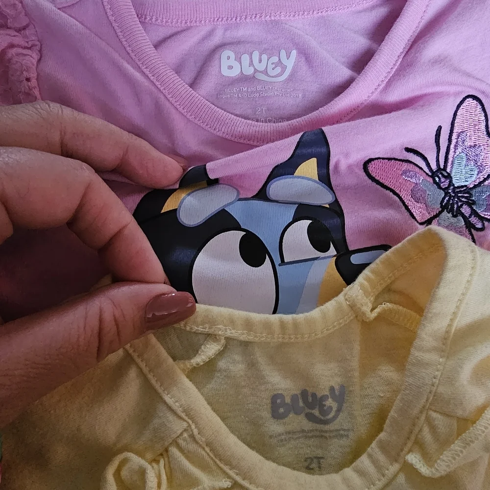 Kids Bluey Cartoon Character Shorts And Top Sets - 2t